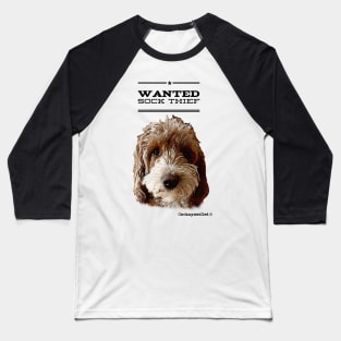 Cockapoo / Doodle Dog Sock Thief Baseball T-Shirt